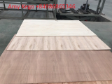 Flooring Plywood 7mm 5 Plies 100_ Eucalyptus for Export